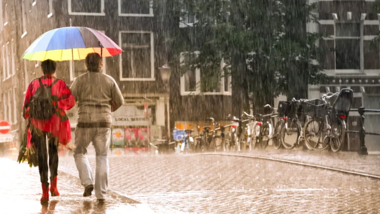¿Por qué las alergias empeoran cuando empiezan las lluvias?